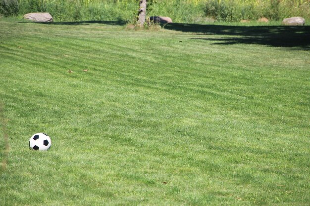 Foto gran campo verde con balón de fútbol en el suelo copiar espacio para texto sobre césped