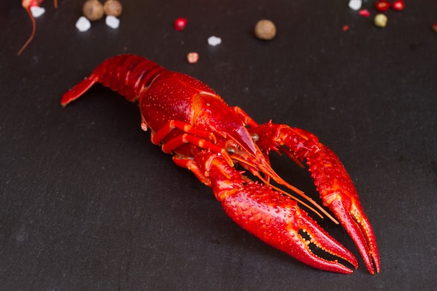 Un gran cangrejo de río rojo con especias en pizarra