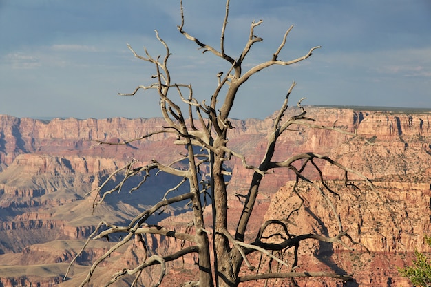 Foto gran cañón en arizona, estados unidos