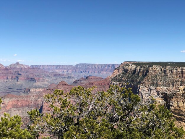 Foto el gran cañón contra un cielo despejado