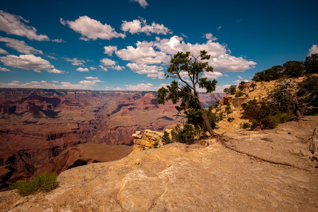 Gran Cañón en el Parque Nacional, Arizona.