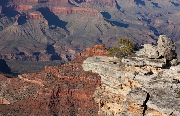 Foto el gran cañón