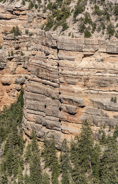 Gran Cañón