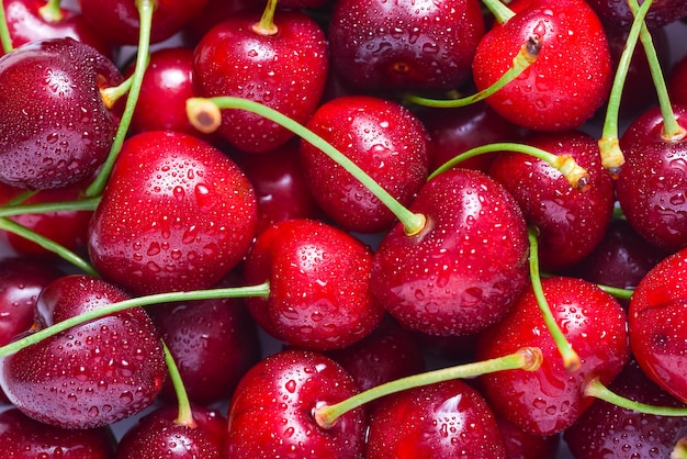 Gran cantidad de cerezas frescas y crudas, gotas de agua