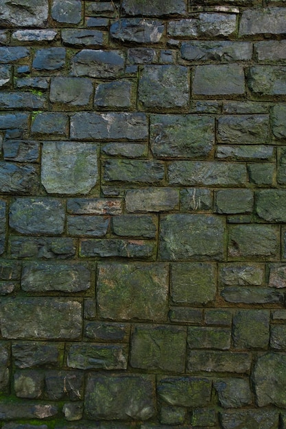 Gran cantidad de musgo verde en una pared de ladrillos de piedra