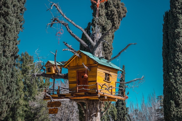 Gran casa del árbol en otoño