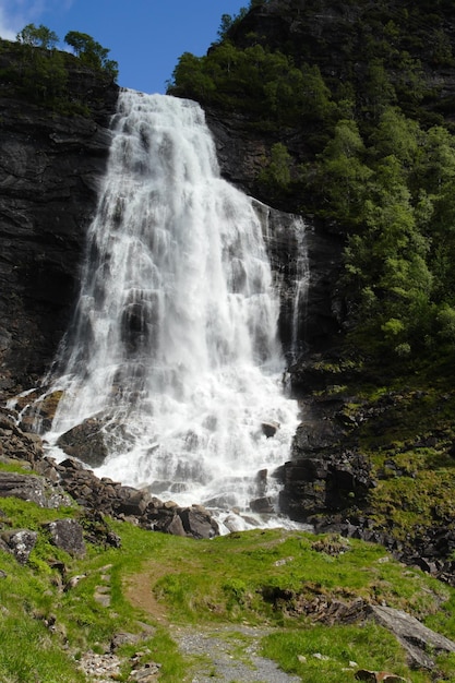 Gran cascada en los bosques de verano, noruega