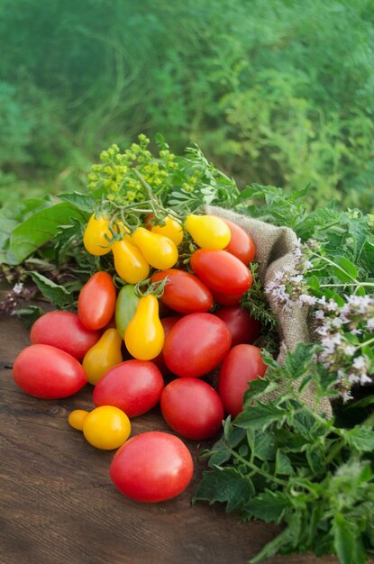Gran cesta llena de tomates diferentes Tomates maduros en una cesta sobre fondo de madera rústica