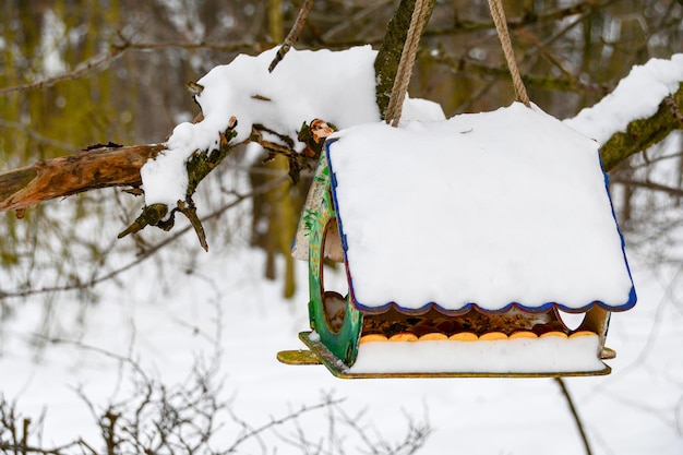 Gran comedero para pájaros de madera Panorama invernal del parque de la ciudad