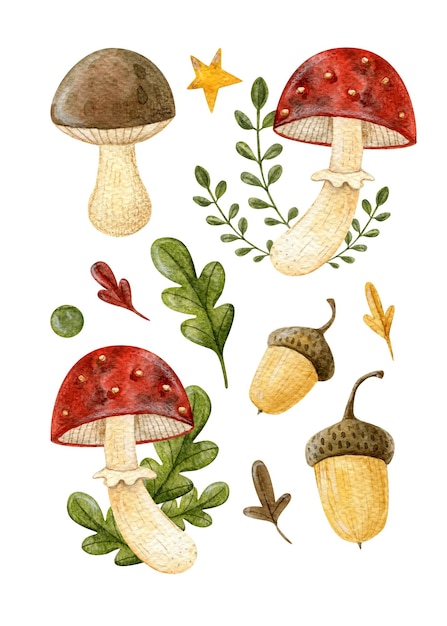 Gran conjunto de ilustraciones de otoño en acuarela aisladas sobre un fondo blanco Ilustraciones forestales