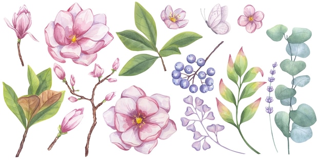 Gran conjunto de magnolia rosada eucalipto lavanda mariposa del árbol de la manzana bayas de dogwood azul follaje verde clipart de arándano fondo de ilustración de acuarela dibujado a mano