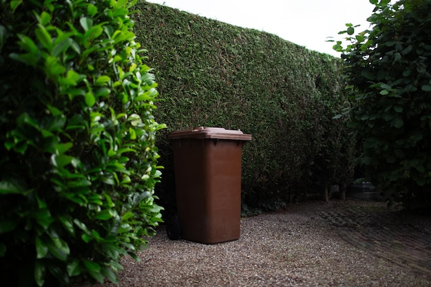 Gran contenedor de plástico marrón para la basura en el patio trasero alrededor del seto de árboles