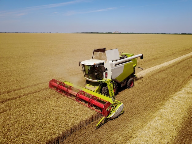 Gran cosechadora profesional trabajando en el campo de trigo.