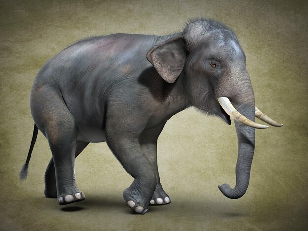 Gran elefante asiático. Ilustración 3D