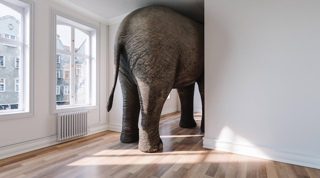 Gran elefante por detrás en el apartamento como una graciosa falta de espacio y una imagen de concepto de mascota