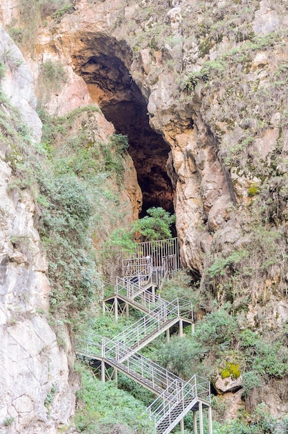 Gran entrada a las cuevas de Jenolan rodeadas de plantas tropicales e iluminadas con luz artificial