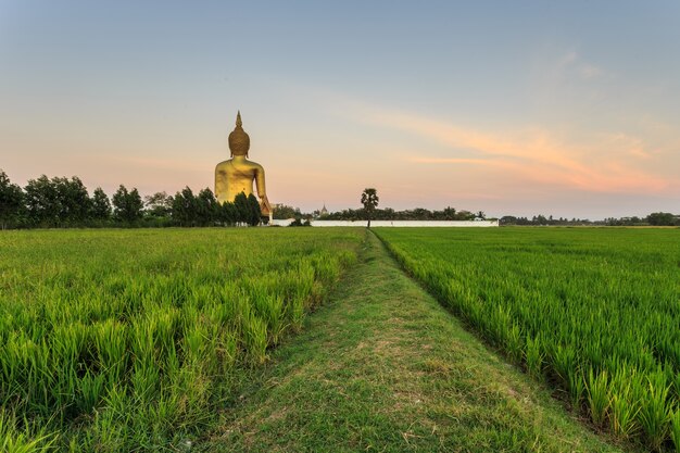 Gran estatua dorada de Buda en Tailandia