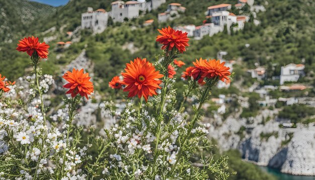 Foto una gran flor roja con una casa en el fondo