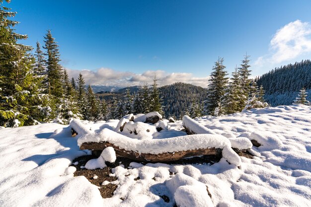 Una gran fogata cubierta de nieve para hacer senderismo en las montañas de los Cárpatos I sol frío y brillante