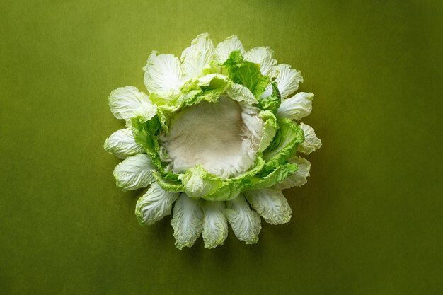 Un gran fondo de repollo verde para una plantilla de sesión de fotos de recién nacidos para insertar una cama infantil f