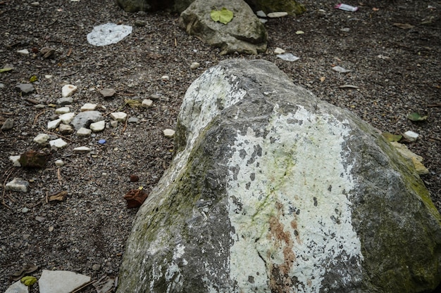 Una gran imagen de piedra en el bosque.