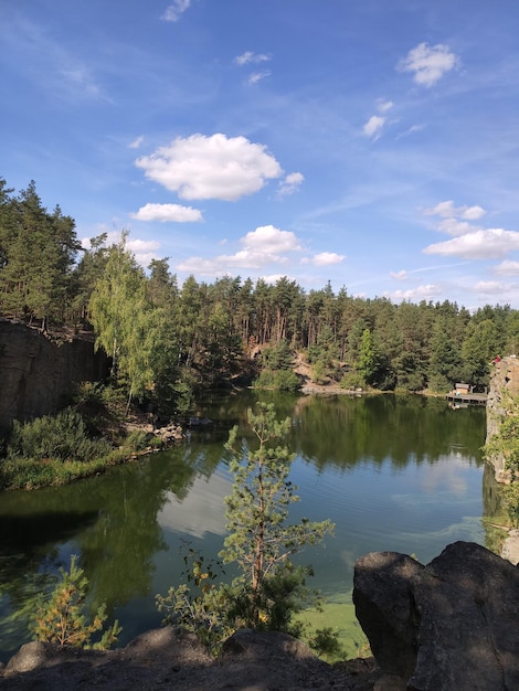 Gran lago en un bosque de pinos