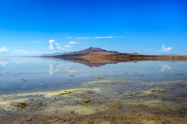 El Gran Lago Salado. Estados Unidos Estado de Utah