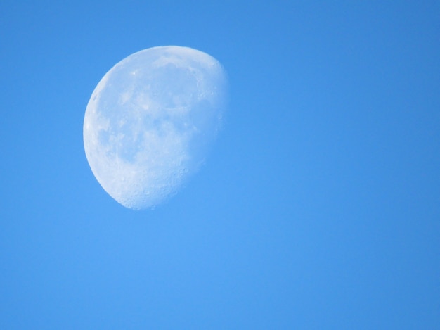 Gran luna blanca de cerca sobre el cielo azul