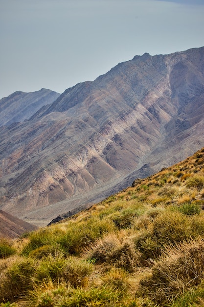 Gran montaña levantada en el desierto con arbustos verdes