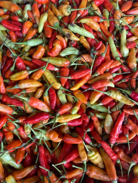 Foto un gran montón de chiles rojos y verdes