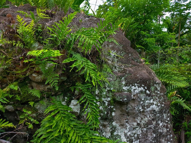 Gran muro de piedra sobre el río.