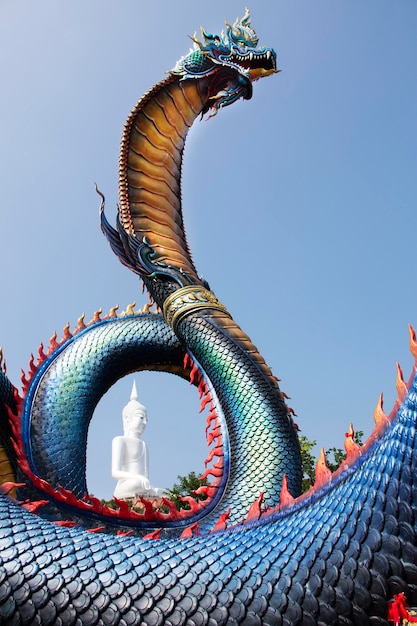 Gran Naka azul y estatua blanca de Buda en Wat Roi Phra Phutthabat Phu Manorom para los tailandeses y los viajeros extranjeros que viajan visitan y respetan la oración en el Parque Nacional Mukdahan en Mukdahan Tailandia