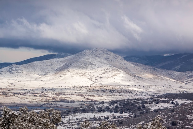 Gran nevada en el pinar de Revenga, en el Parque Nacional Sierra de Guadarrama, en Segovia y Madrid. Castilla y Leon, España