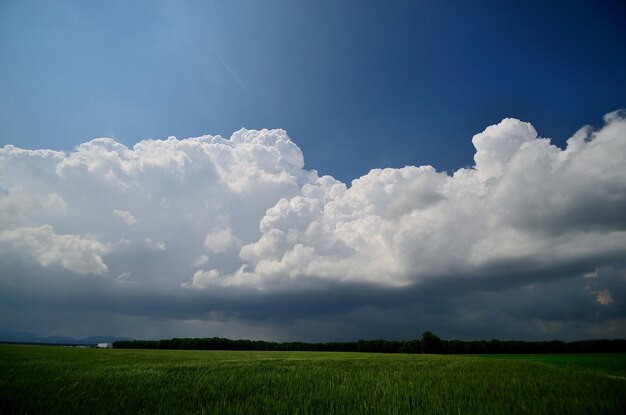 Foto gran nube blanca en el campo