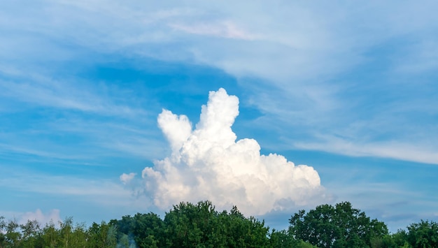 Una gran nube blanca hermosa en forma de signo de victoria V