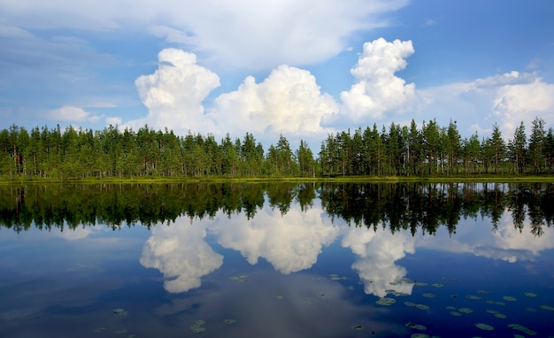 Una gran nube y bosque se reflejan en el lago, Panorama