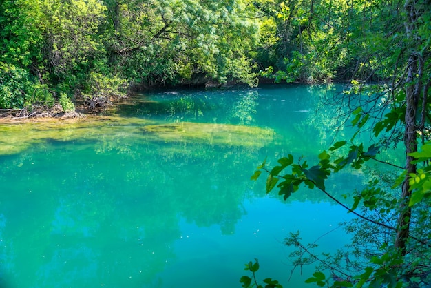 Un gran obstáculo viejo sobresale bajo el agua.