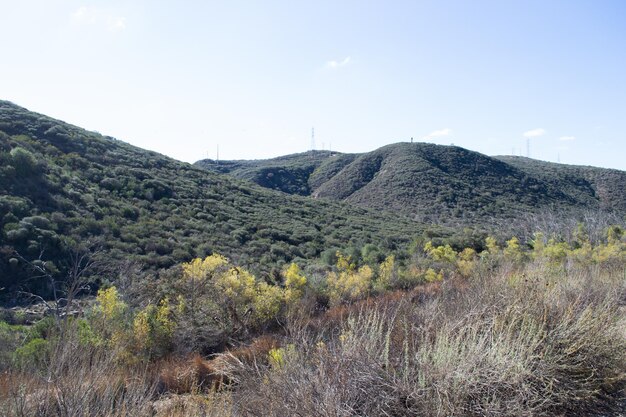 Gran paisaje de montaña naturaleza plantas