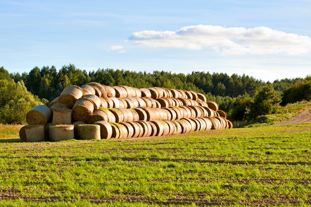 Gran pajar en el campo