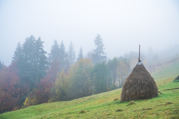 Un gran pajar húmedo se encuentra en un campo verde en medio de una espesa niebla gris en tiempo húmedo