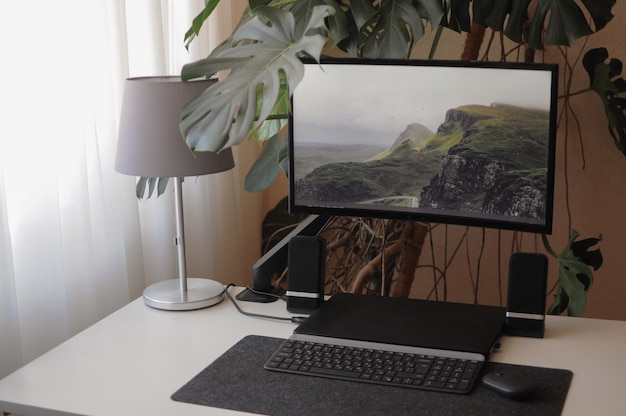 Gran pantalla curvada con portátil. Lugar de trabajo elegante y moderno en casa con plantas caseras.