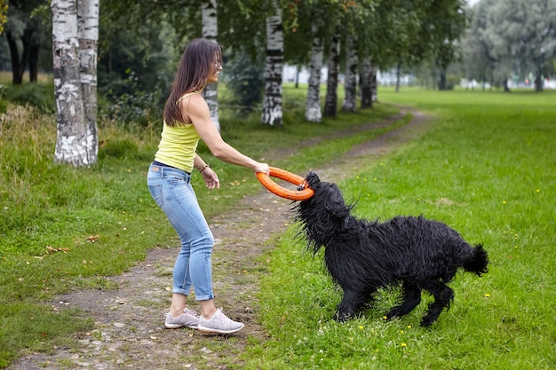 Gran perro negro está jugando con su dueña con la ayuda de un juguete mientras camina.