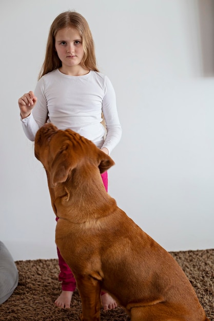 Un gran perro con pedigrí obedece la orden de sentarse y recibe una golosina