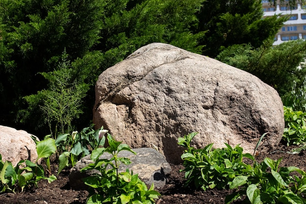 Gran piedra decorativa en el jardín entre plantas verdes.