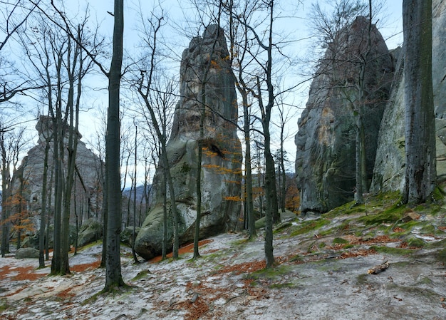 Gran piedra noble en el bosque de otoño Skeli Dovbusha, región de Ivano Frankovsk