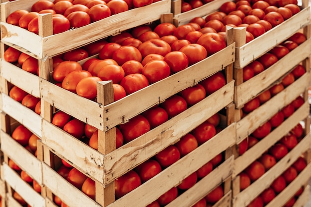 Una gran pila de canasta de tomate.