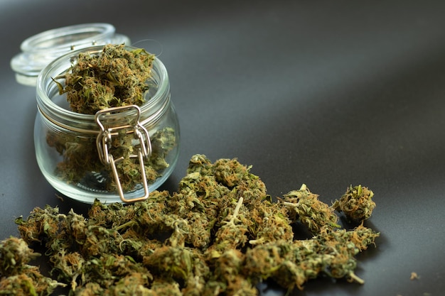 Gran pila de cogollos de cannabis para uso médico legal Concepto de negocio de marihuana comercial Weed in jar