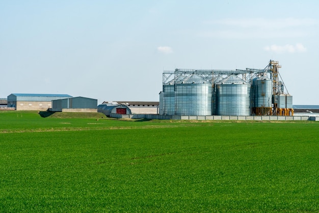 Una gran planta moderna para el almacenamiento y procesamiento de cultivos de cereales vista del granero en un día soleado contra el cielo azul Fin de la temporada de cosecha