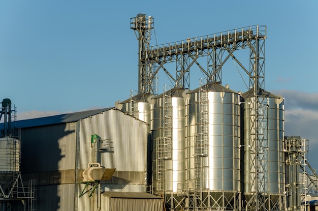 Una gran planta moderna para el almacenamiento y procesamiento de cultivos de cereales vista del granero en un día soleado Grandes barriles de hierro de grano contra el cielo Fin de la temporada de cosecha