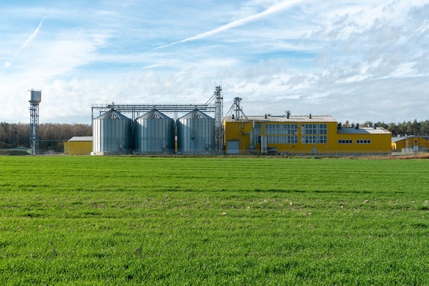 Una gran planta moderna para el almacenamiento y procesamiento de cultivos de granos vista del granero en un día soleado Grandes barriles de hierro de silos de plata de grano en la planta de fabricación agrícola para procesamiento y secado